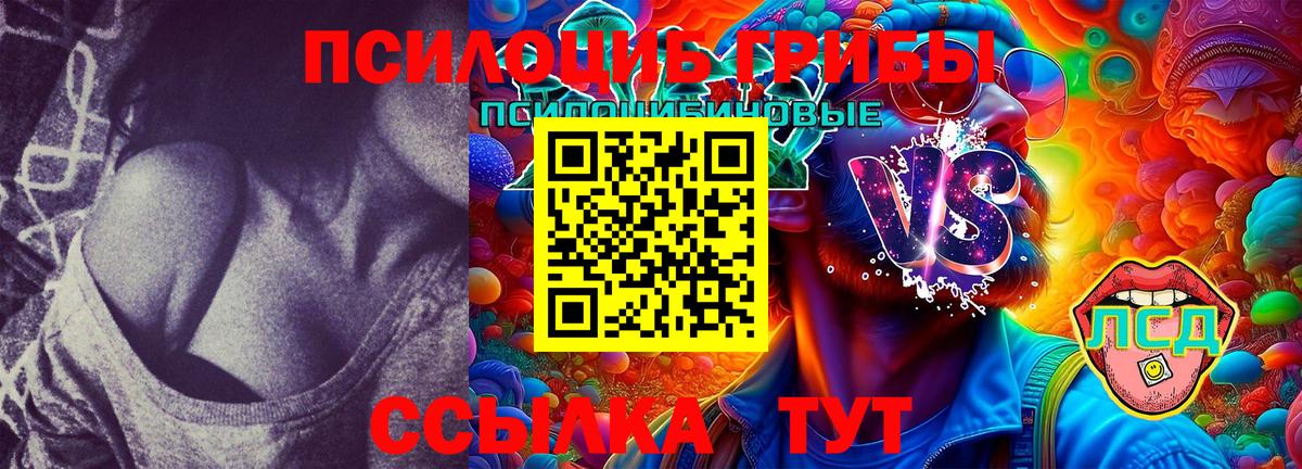 Галлюциногенные грибы Psilocybine cubensis  Вход с VPN  Котовск 